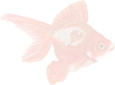 金魚